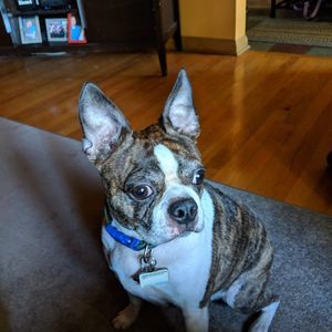 Meet your Posher, Becky